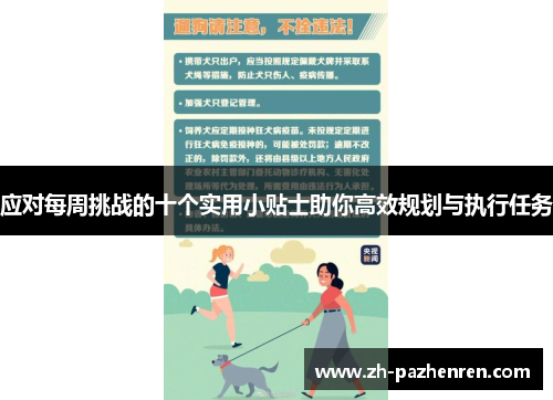 应对每周挑战的十个实用小贴士助你高效规划与执行任务 应对每周挑战的十个实用小贴士助你高效规划与执行任务