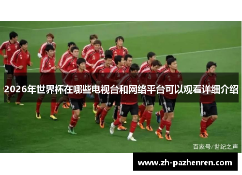 2026年世界杯在哪些电视台和网络平台可以观看详细介绍