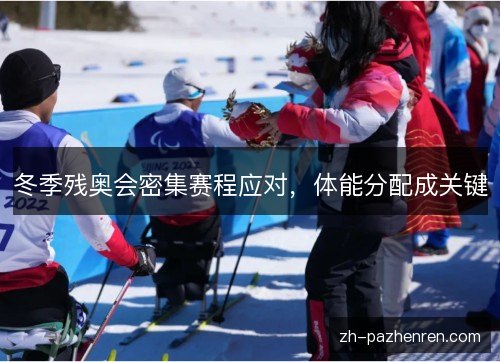 冬季残奥会密集赛程应对，体能分配成关键